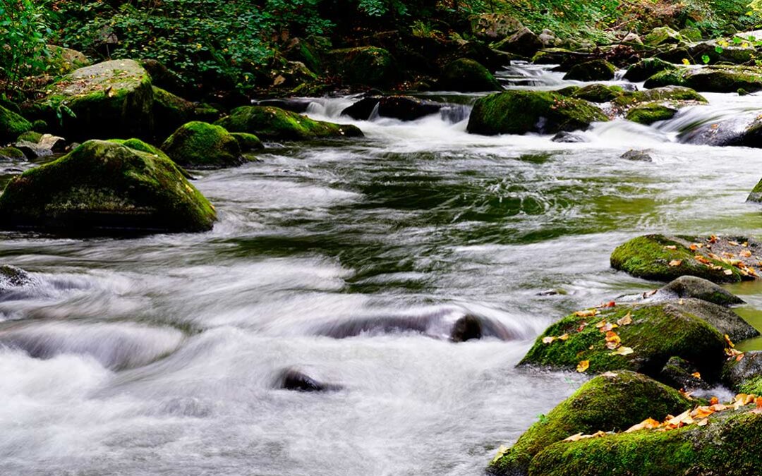 Qué hacer en Pedrouzo si tienes un día extra: Descubre sus alrededores